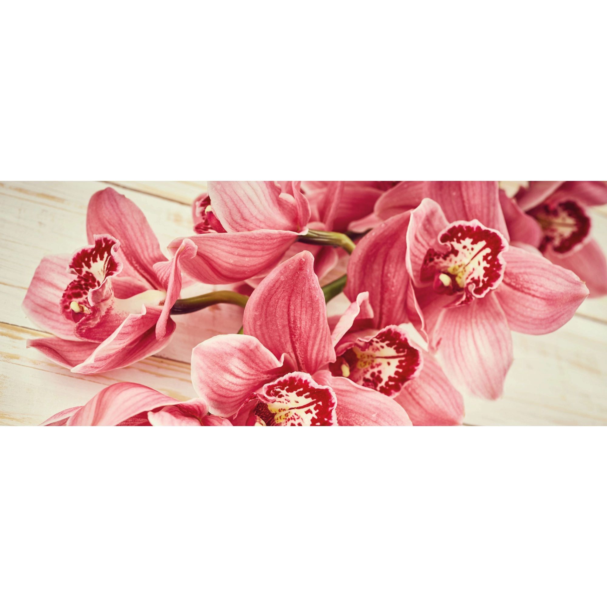 marmony® 800W Naturstein Infrarotheizung Motiv "Pink Orchidee" mit Thermostat MTC-40
